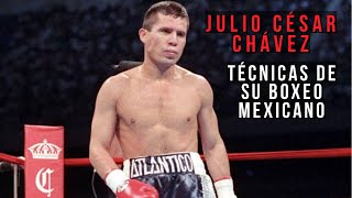 JULIO CÉSAR CHÁVEZ y sus Técnicas de Boxeo Mexicano [upl. by Yrffoeg]