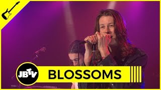 Blossoms  Honey Sweet  Live  JBTV [upl. by Suivatra165]