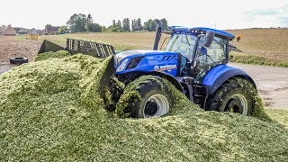 New Holland T7290 HD a lensilage en France [upl. by Alarick]