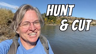 FINDING and SLABBING Montana Agate  Rockhounding on the Yellowstone River [upl. by Emalee]