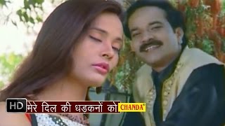 Mere Dil Ki Dhadkano Ko  मेरे दिल की धड़कनों को  Mohd Niyaz  Hindi Love Songs Hindi [upl. by Ariane]