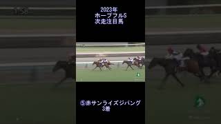 ホープフルS 次走注目馬① 元馬術選手のコラム by アラシ 競馬 競馬 ホープフルS サンライズジパング [upl. by Chassin]