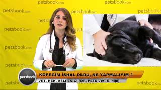 Köpeğim ishal oldu ne yapmalıyım [upl. by Winifred]