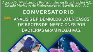 ANÁLISIS EPIDEMIOLÓGICO EN LOS CASOS DE BROTES POR INFECCIONES CON BACTERIAS GRAM [upl. by Fenelia896]