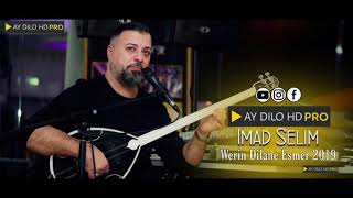 Imad Selim  Werin Dilane Esmer 2019  AY DILO HD PRO [upl. by Annahsat]