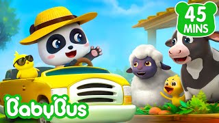 Seu Macdonald Tinha um Sítio  Bebê Panda  Canção da Fazenda  Músicas Infantis 🐼 por BabyBus [upl. by Albertson]