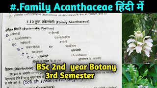 Family Acanthaceae in hindi  BSc 2nd year Botany 3rd Semester [upl. by Hubbard143]