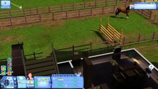 Lets Play Die Sims 3 Showtime 063 Pferdespiele von und mit Pferden [upl. by Ettenrahc]