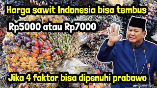 Harga sawit indonesia bisa lebih Rp5000 jika 4 faktor ini bisa terjadi [upl. by Nemaj]