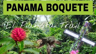 PANAMA BOQUETE  El Sendero del Pianista El Pianista Trail  Mysterious Disappearance in Panama 🇵🇦 [upl. by Catlin]