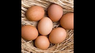 The Benefits of Organic PastureRaised Eggs Why They’re Worth the Switch [upl. by Enetsirhc]