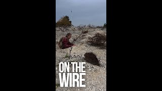 On the Wire  The Great War Shorts EP20  Main de Massiges shorts [upl. by Shelton]