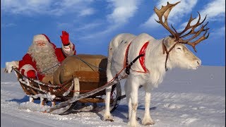 Papai Noel 🎅🦌 os melhores passeios de rena de Pai Natal na Laponia Finlândia Santa Claus Rovaniemi [upl. by Rexer]