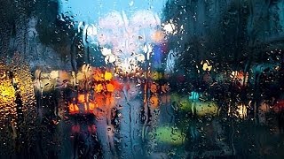 CRYING IN THE RAIN  Lyrics [upl. by Nibram934]