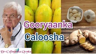 Gooryaanka Caloosha Qaabka Gurika Loogu Daweeyo [upl. by Joon19]