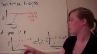 Reading an Ecology Population Graph [upl. by Adleme]