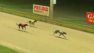 Rockhampton23102024Race7 [upl. by Anel632]