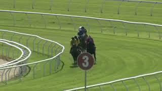 Heat 6 Doomben Jumpouts 0611 [upl. by Niac]