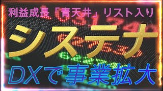 青天井のシステナ DXで事業拡大 [upl. by Gorton]