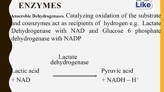 enzymes nomenclature classification [upl. by Raynah]