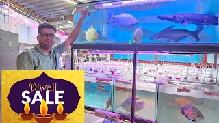 Diwali Discount Offer at Asia Aquarium [upl. by Dunham]