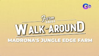 Farm To Table Take a walk around the Madronas Jungle Edge Farm  Online Exclusive [upl. by Claudianus448]