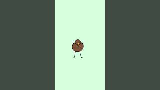 silly little kiwi animation animation kiwi [upl. by Dulce369]