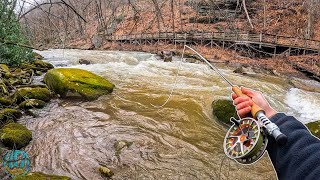 Streamer Fishing High Water for Brown Trout Fly Fishing Tips [upl. by Claudine]