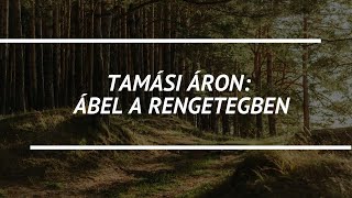 Tamási Áron Ábel a rengetegben  regényelemzés 8 osztály [upl. by Earlie]