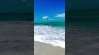 Beach Gasparilla Island florida gulfofmexico music [upl. by Rednas332]