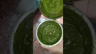 पुदीना जलजीरा  Pudina Jal jeera  Summer Recipe  Nimbu Pudina shorts jaljeera pudina drinks [upl. by Nylzor]