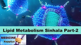 Lipid Metabolism Sinhala Presentation Part 2 [upl. by Eve]