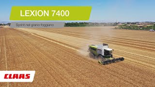 CLAAS In Campo 2022  LEXION 7400 nel foggiano [upl. by Irrahs890]