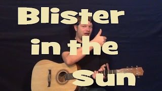 Blister in the Sun Violent Femmes Easy Strum Guitar Chords Lick How to Play Lesson [upl. by Lumbard]