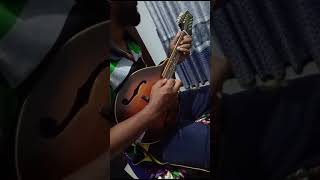 napuru wenna epa kiyala  නපුරු වෙන්න එපා කියල  chamara weerasinghe  short mandolin cover [upl. by Ilan305]