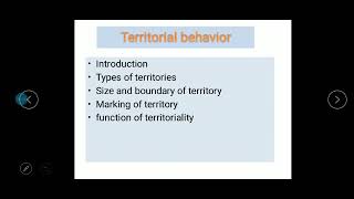 Territorial Behaviour in Animals [upl. by Dnivra778]