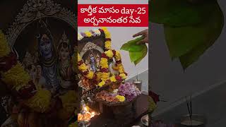 Karthika maasam day25 abhishekam  Ramadevi Astrovastu  9848453182 [upl. by Nataline]