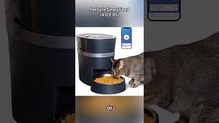 Best Automatic Pet Feeders PETLIBRO vs PetSafe vs Yakry – Which is Right for You [upl. by Alesig]