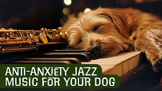 Relaxing Jazz Music for Dogs 🎷🐾 Keep Your Pet Calm with AntiAnxiety Dog TV [upl. by Mirak351]