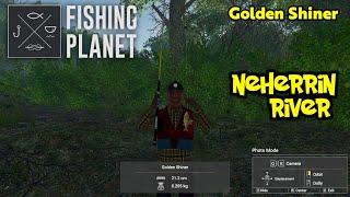 Golden Shiner Neherrin River  Fishing Planet [upl. by Gelasias]