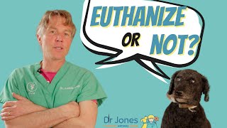 Problems With Euthanasia [upl. by Eelac143]