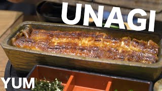 Amazing Grilled Eel Unagi in Nagoya Hitsumabushi [upl. by Giarla36]