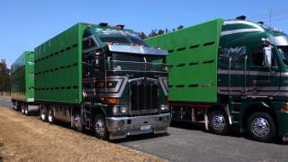 Martinborough Transport 3 Truck Photoshoot [upl. by Shanta129]