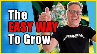 First Time Cannabis Growers Are CRUSHING IT with THESE Three Tips [upl. by Aerdnua872]