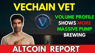 VET Volume Shows More Pump Brewing Vechain VET Analysis amp Price Prediction [upl. by Kavanaugh]