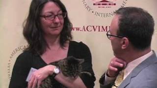 Owner discusses cats cancer diagnosis treatment and recovery [upl. by Edmunda]