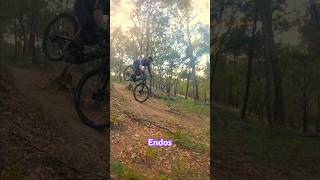 Endo turns at the trails mtb endos freeride downhill techy cornering wheelie wheelies [upl. by Vierno813]