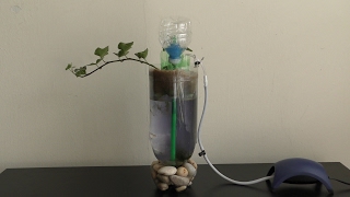 Air pump water filtering bottle aquarium [upl. by Auod]