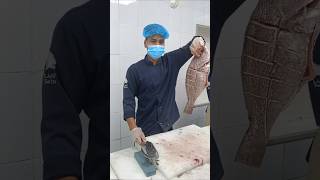 Amazing 😎🧑‍🍳🔪🐟Cutting fish hamour food friedfish tkijeddah ikangoreng cooking fyp [upl. by Kindig46]