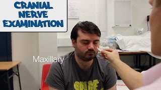 Cranial Nerve Examination  OSCE Guide old version  UKMLA  CPSA [upl. by Arin]